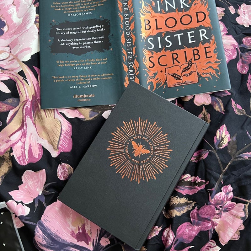 Illumicrate exclusive Ink Blood Sister shops Scribe by Emma Torzs