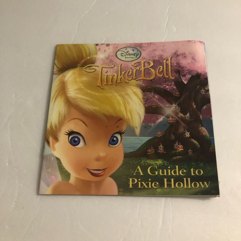 A Guide to Pixie Hollow