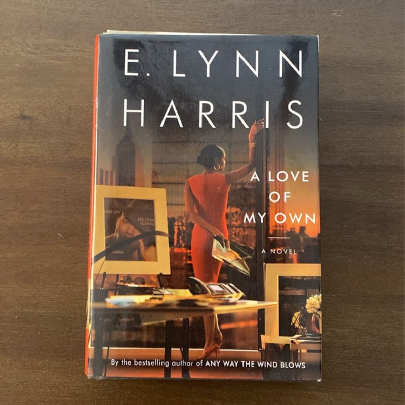 E. Lynn Harris Hardcover Bundle (A Love Of My Own & I Say A Little Prayer)