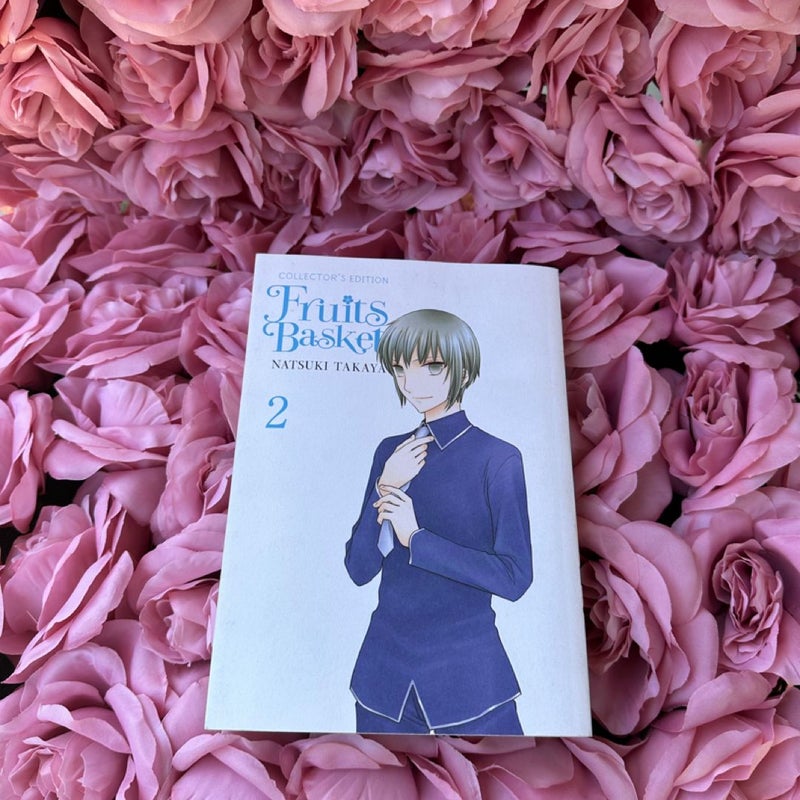 Fruits Basket Collector's Edition, Vol. 2