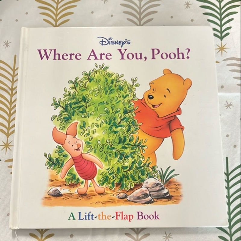 Where Are You Pooh?