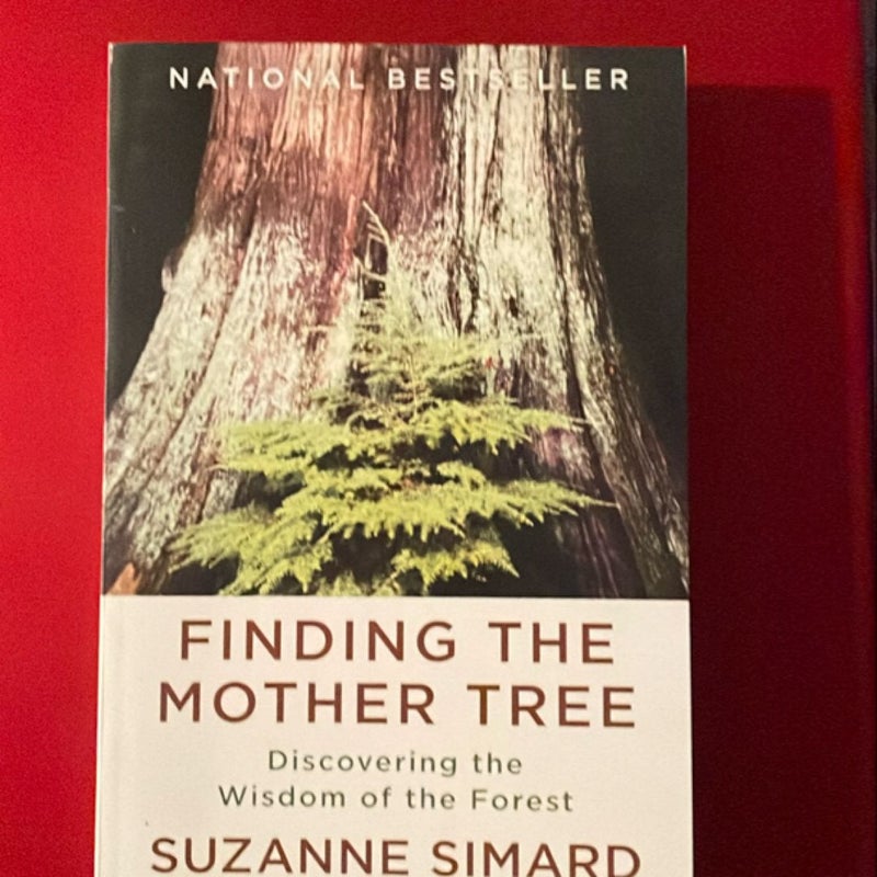 Finding the Mother Tree