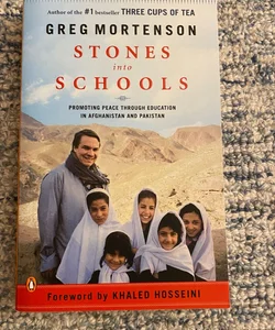 Stones into Schools