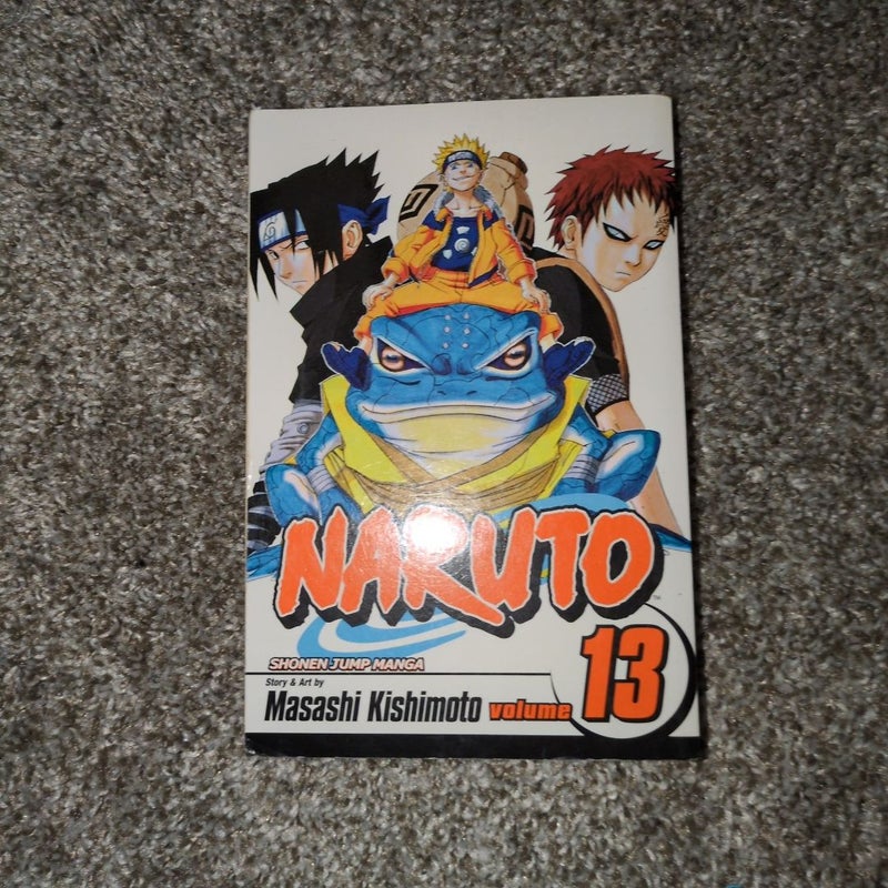 Naruto, Vol. 13