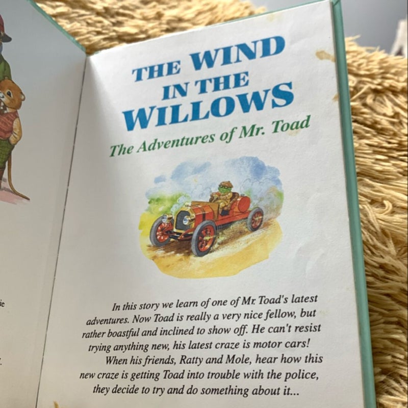 Wind in the Willows (the River Bank / the Wild Wood / the Adventures of Mr