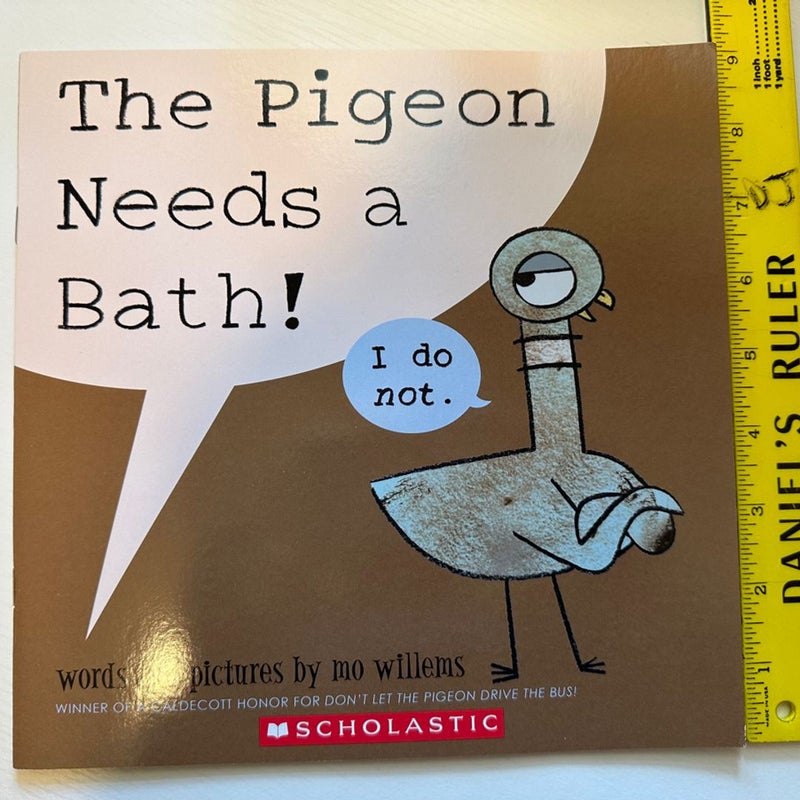 The pigeon needs a bath!