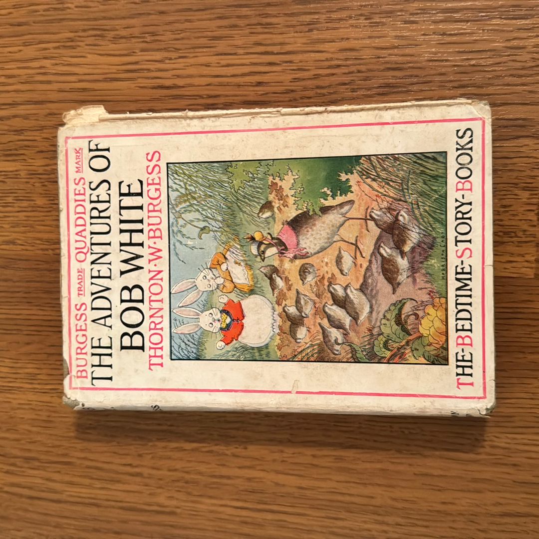 The Adventures of Bob White