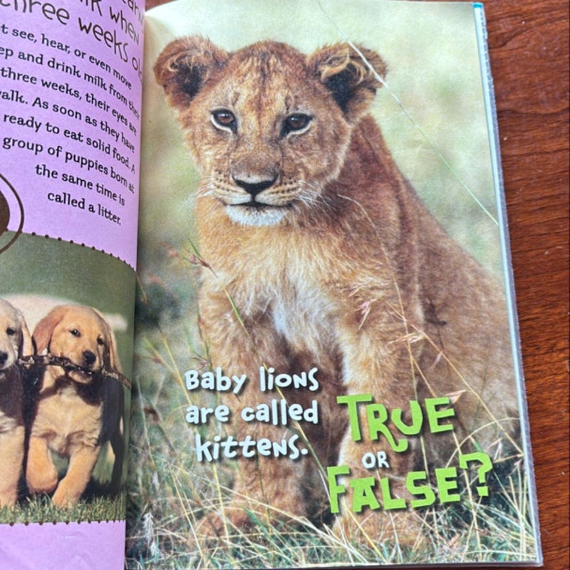 Baby Animals (Scholastic True or False)