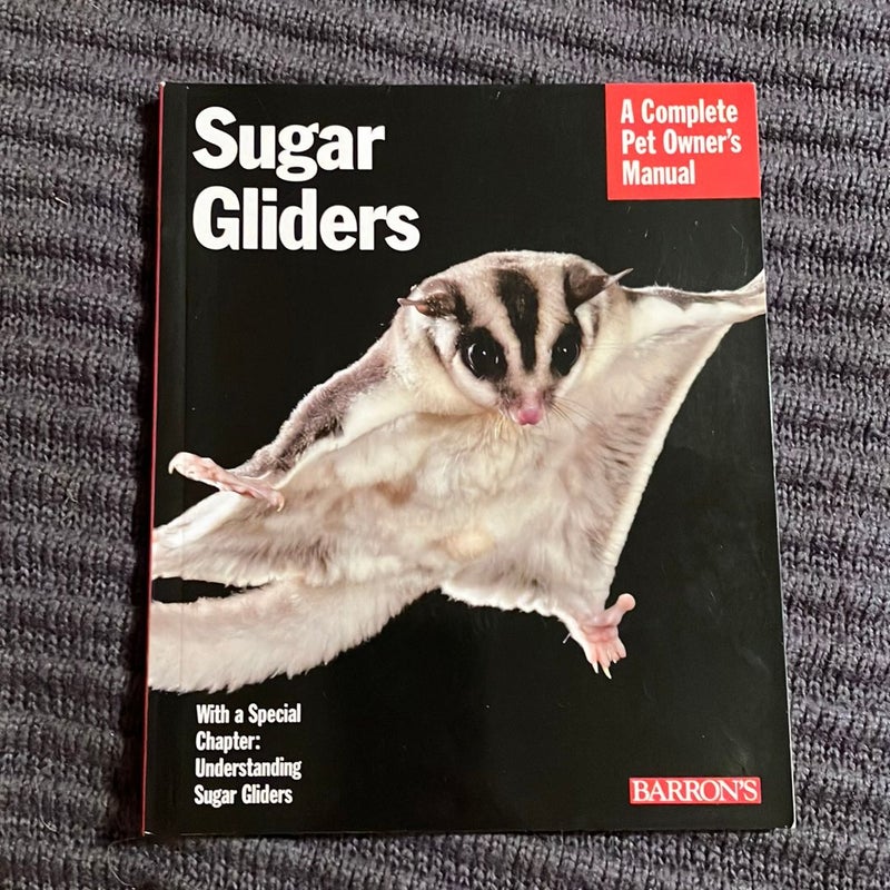 Sugar Gliders