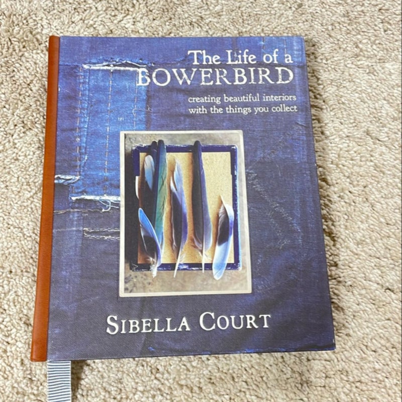 The Life of a Bowerbird