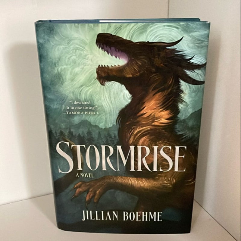 Stormrise First Edition First Print 