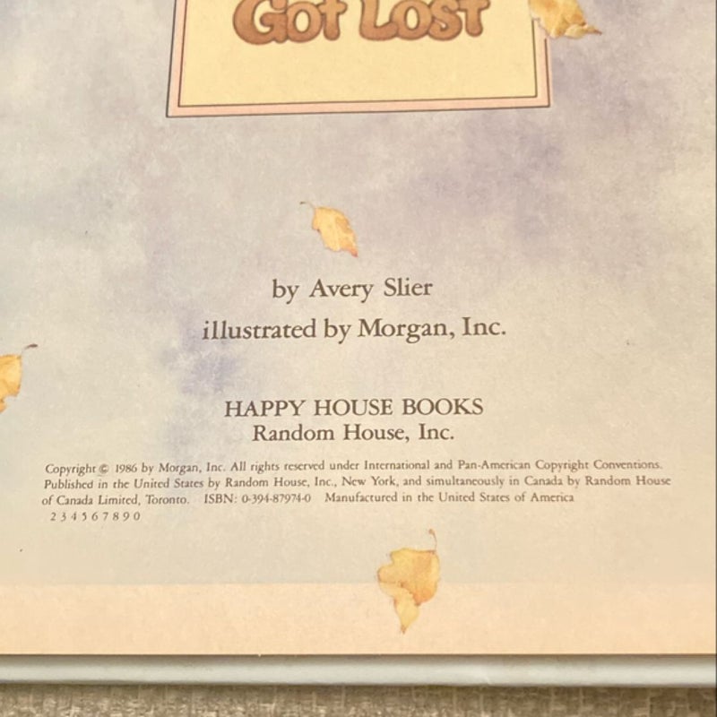 The Day Teddy Beddy Bear Got Lost