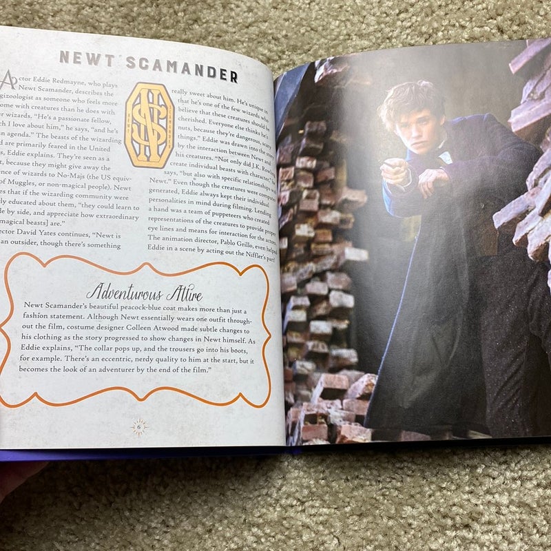 IncrediBuilds: Fantastic Beasts and Where to Find Them Deluxe Book and Model Set 2