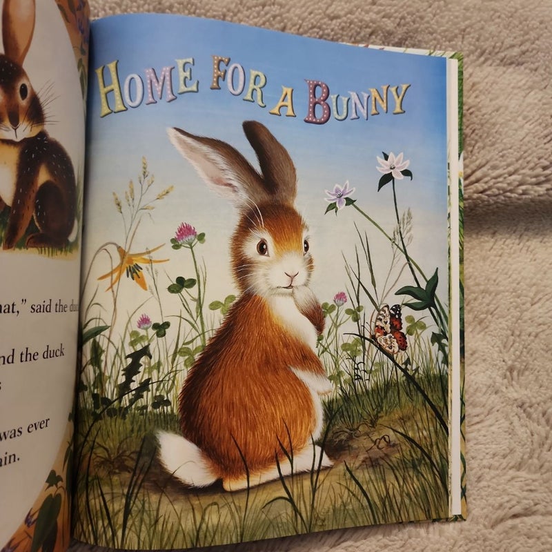Springtime Stories