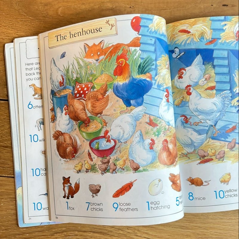 The Usborne Big Book of Things to Spot