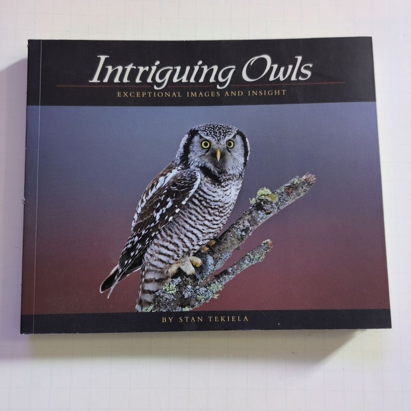 Intriguing Owls