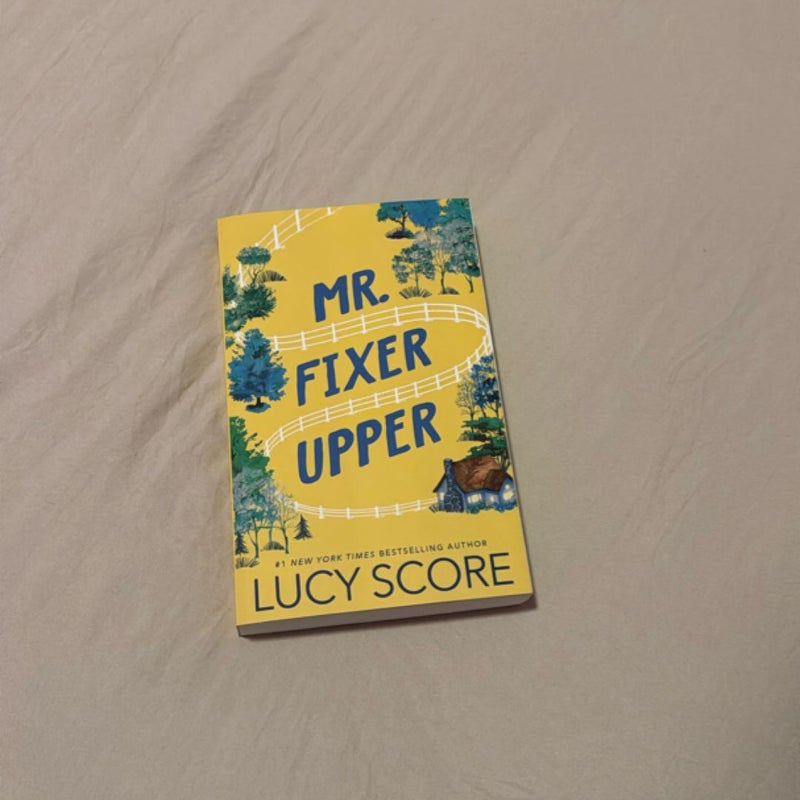 Mr. Fixer Upper
