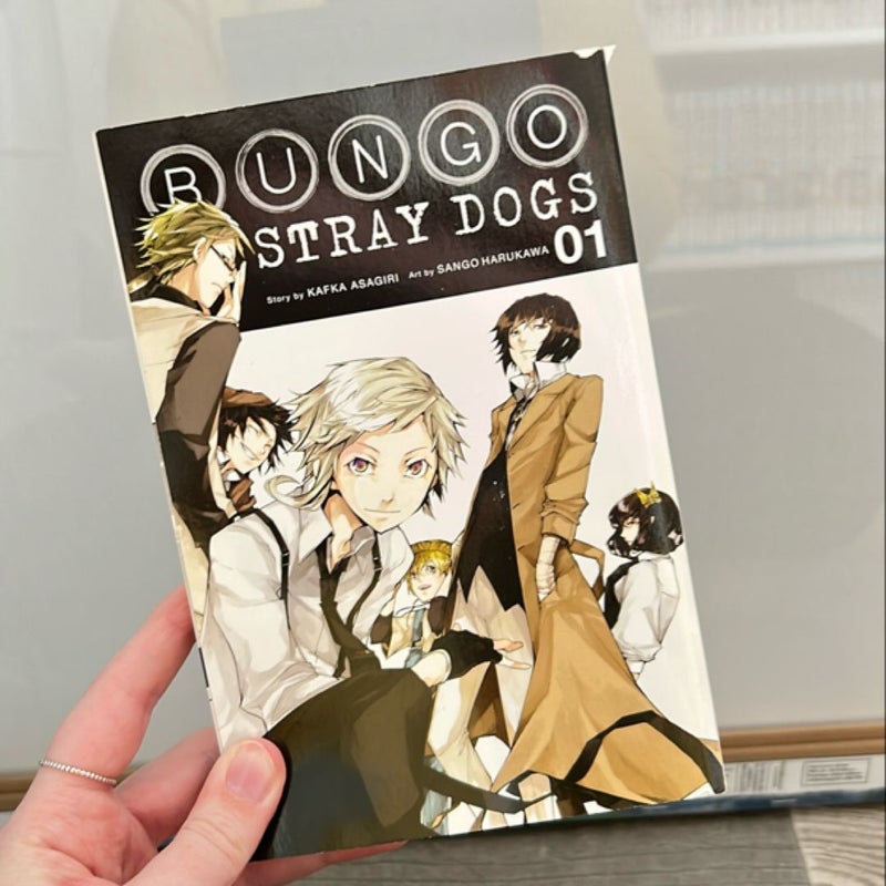 Bungo Stray Dogs, Vol. 1