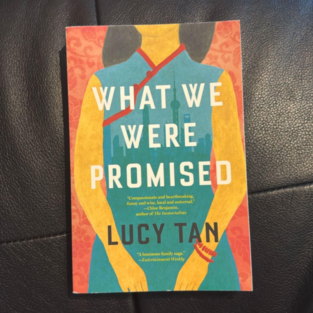 What We Were Promised