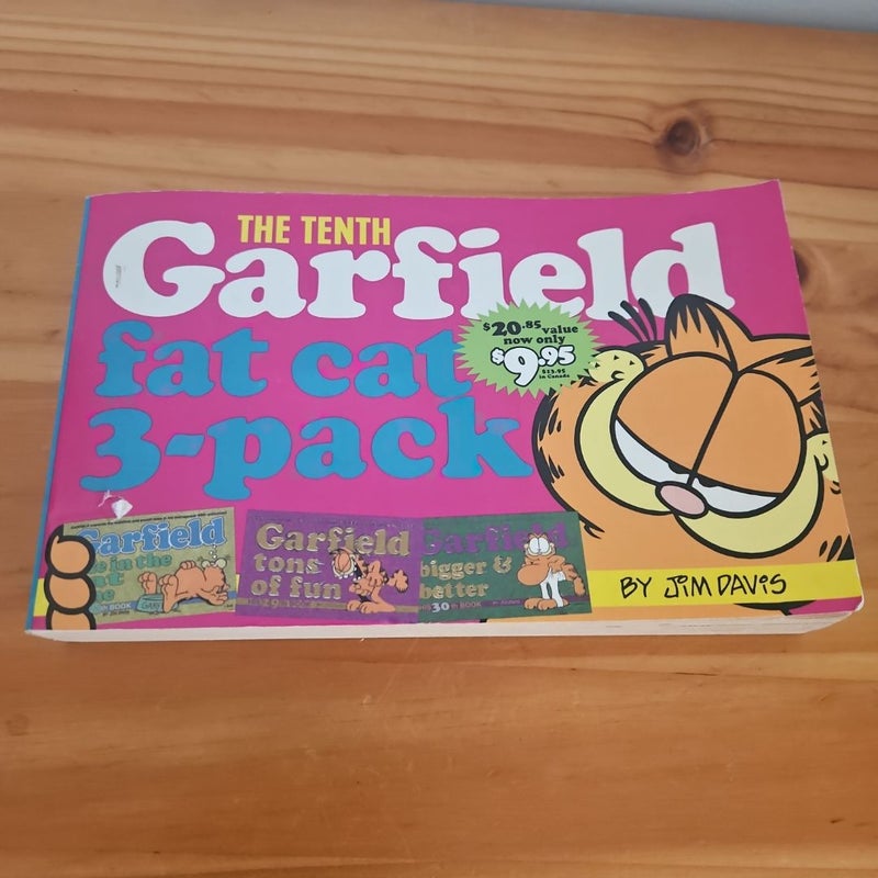 Garfield Fat Cat 3-Pack #10