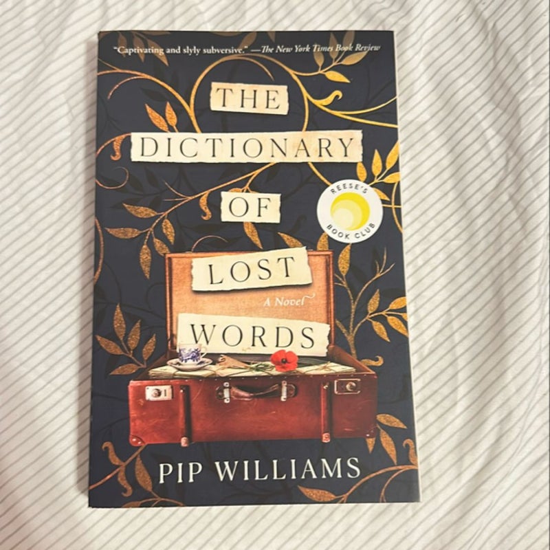 The Dictionary of Lost Words