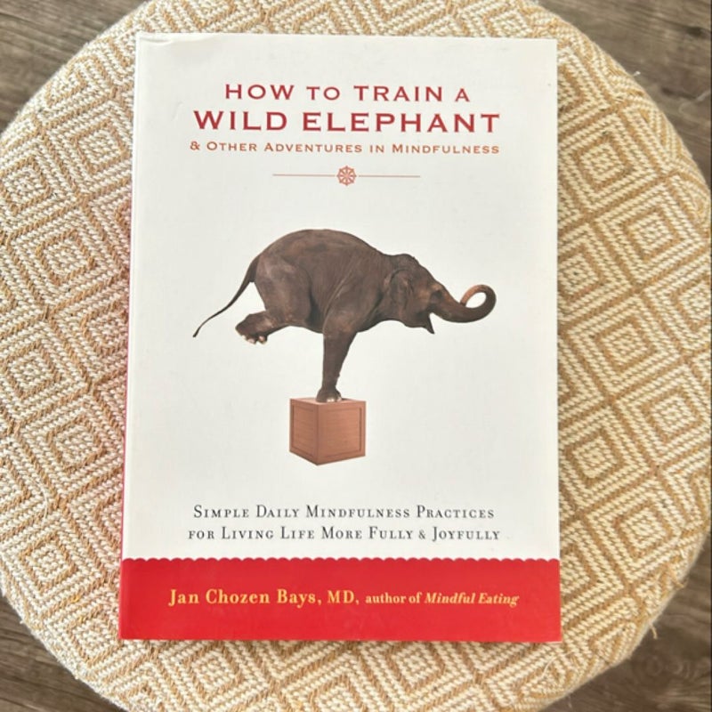 How to Train a Wild Elephant