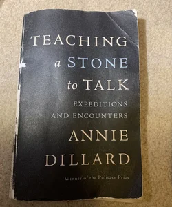 Teaching a Stone to Talk