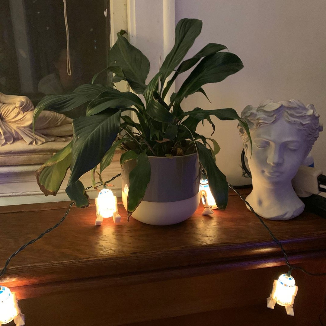 Amy's little shop
