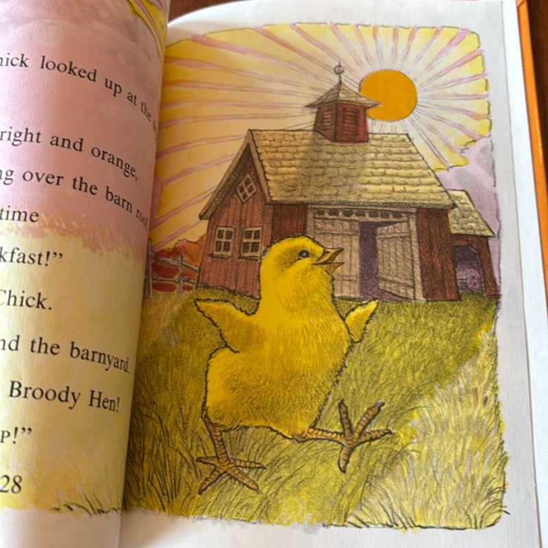Little Chick’s Breakfast