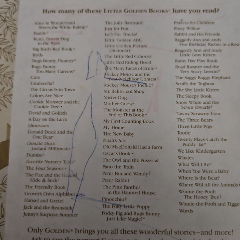 Little Golden Picture Dictionary
