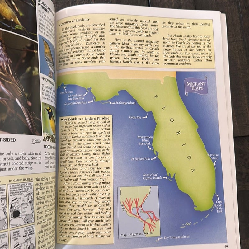 Florida's Fabulous Birds