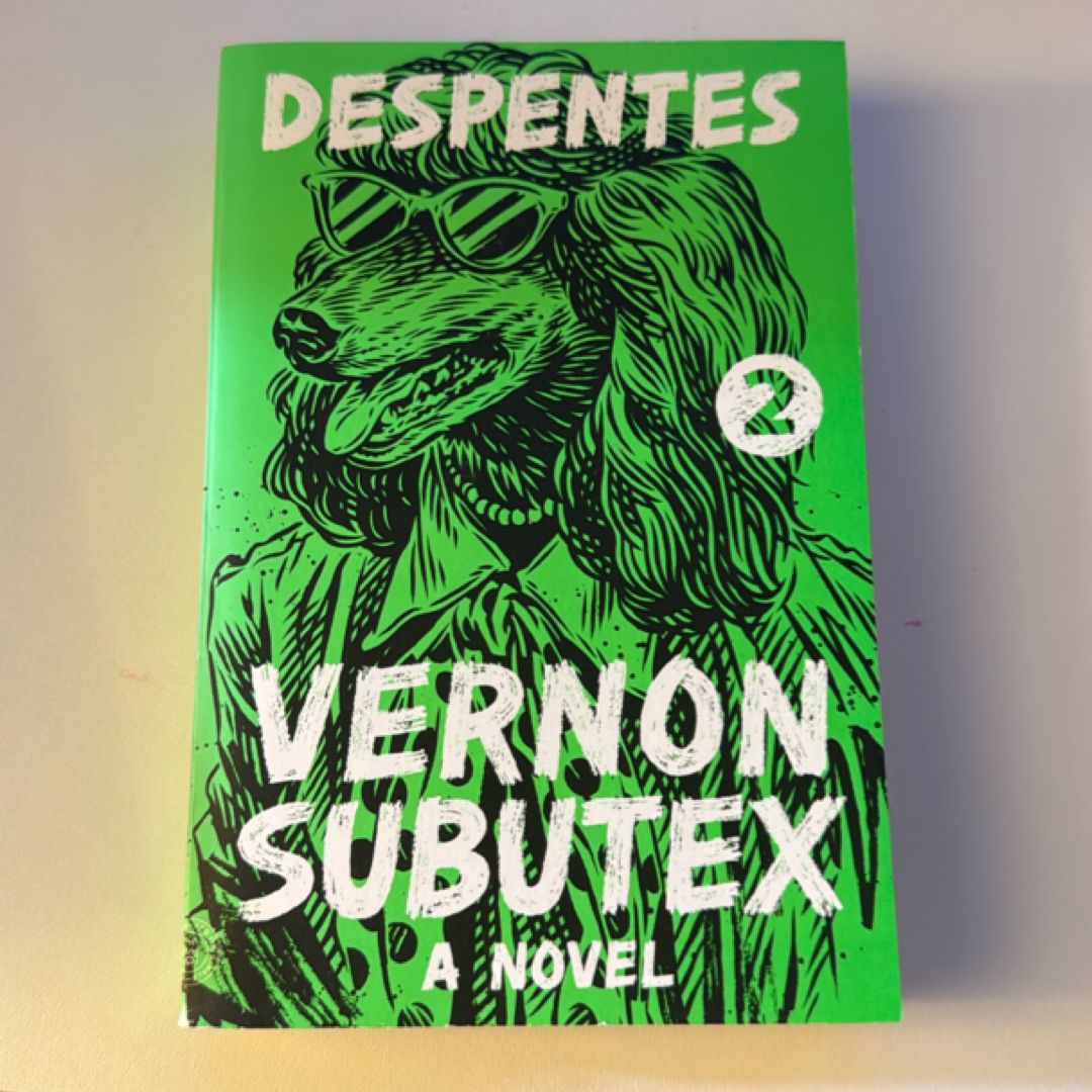 Vernon Subutex 2
