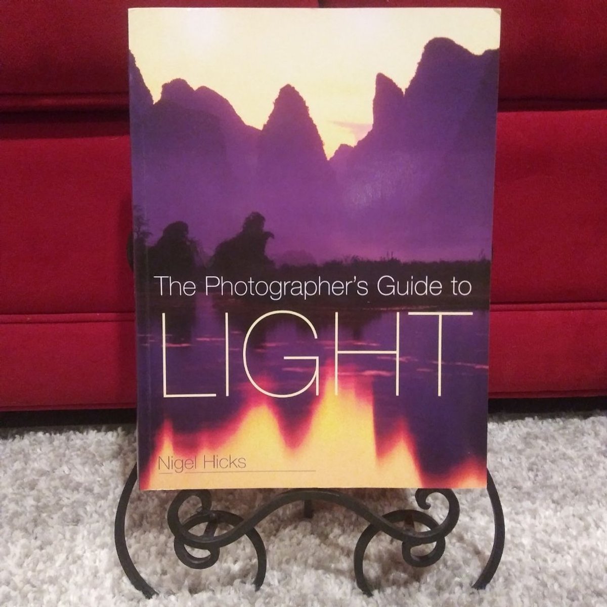 Photographer's Guide to Light by Nigel Hicks