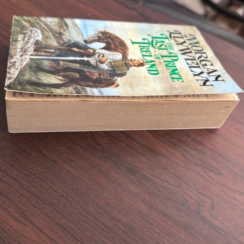 The Last Prince of Ireland