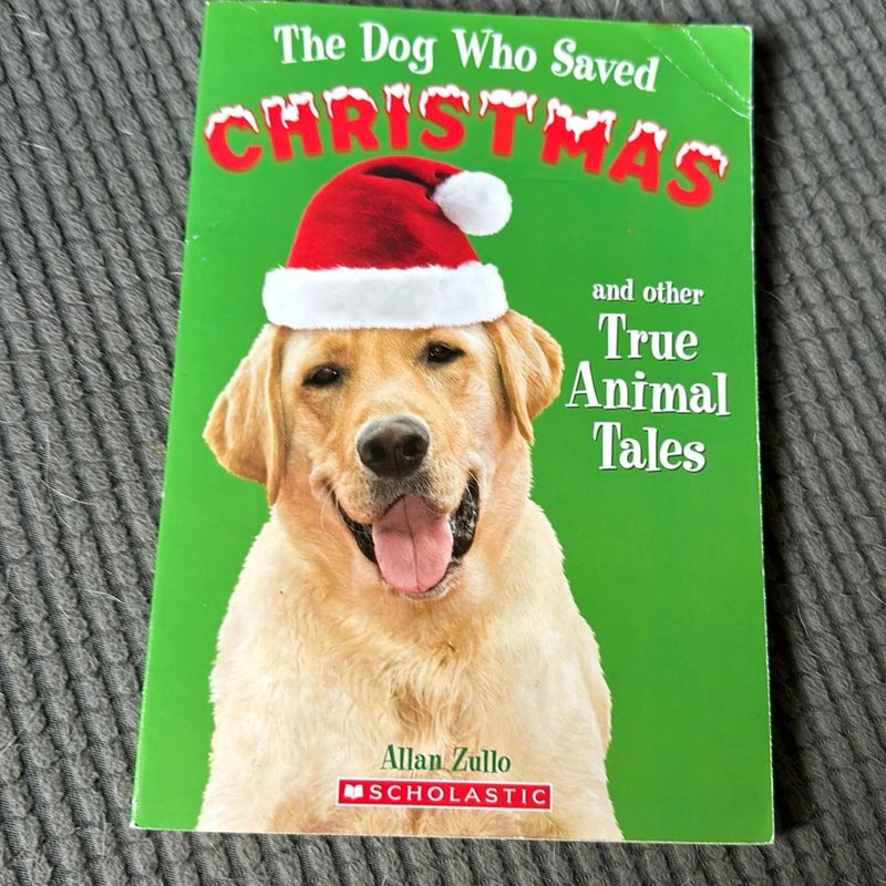 The Dog Who Saved Christmas and other True Animal Tales