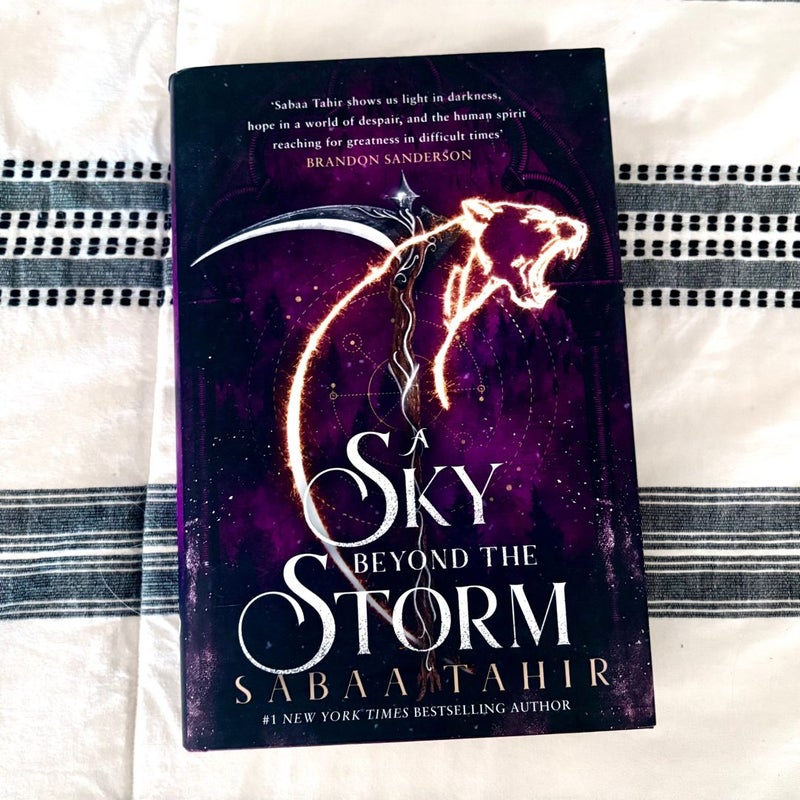 A Sky Beyond the Storm