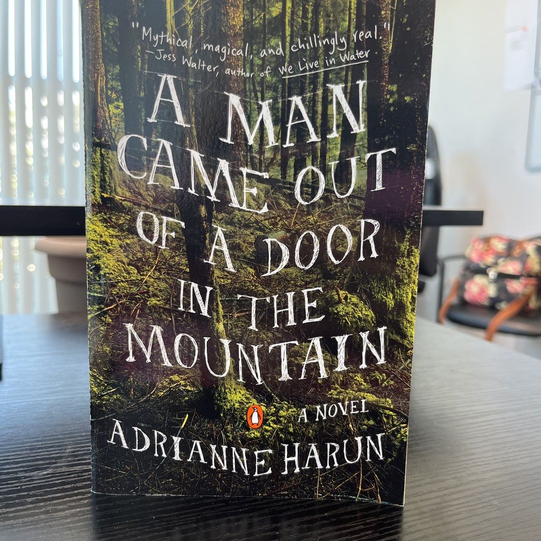 A Man Came Out of a Door in the Mountain