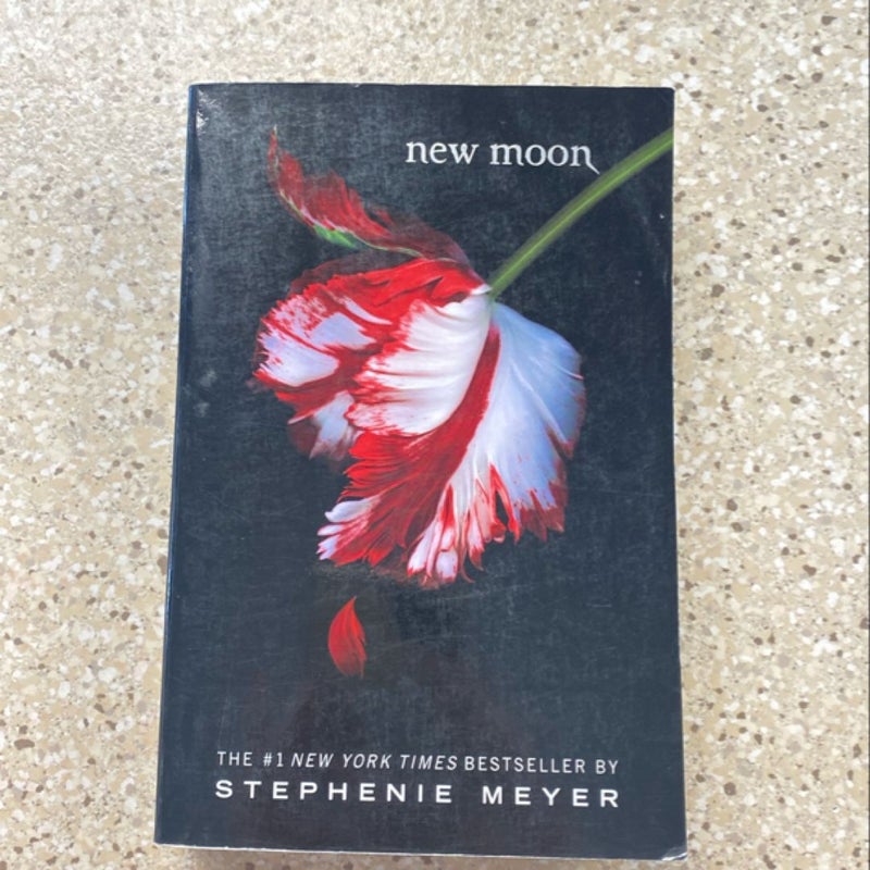 New Moon