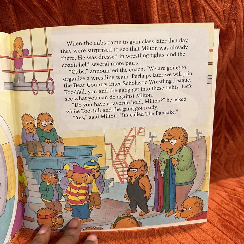 The Berenstain Bears and Too Much Teasing