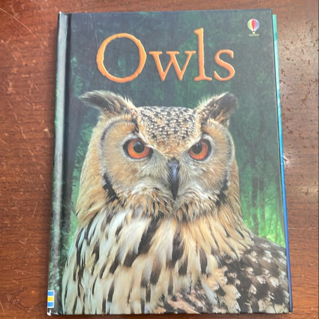 Owls