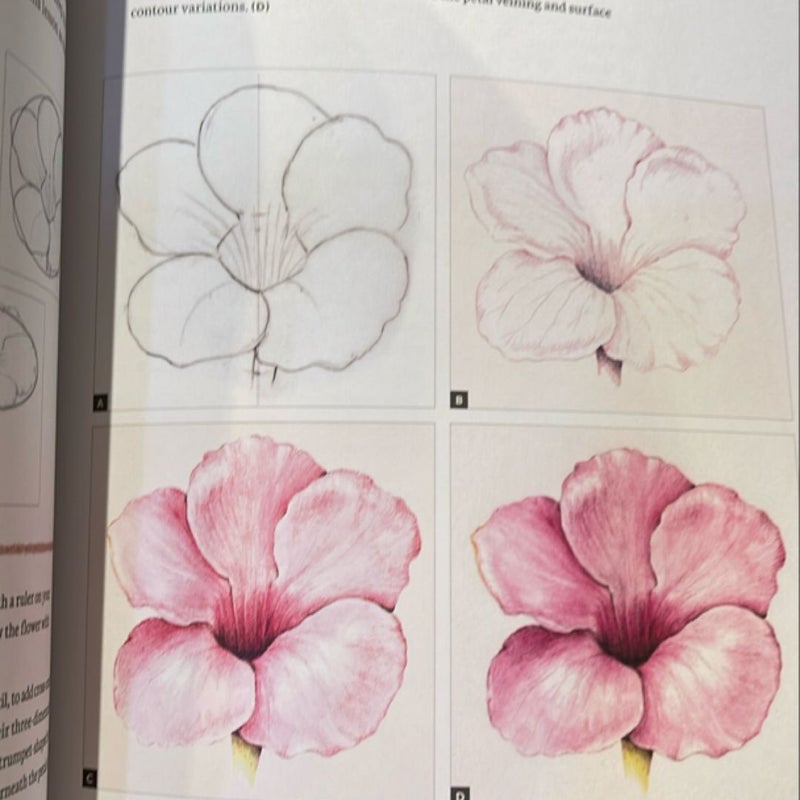 The Joy of Botanical Drawing