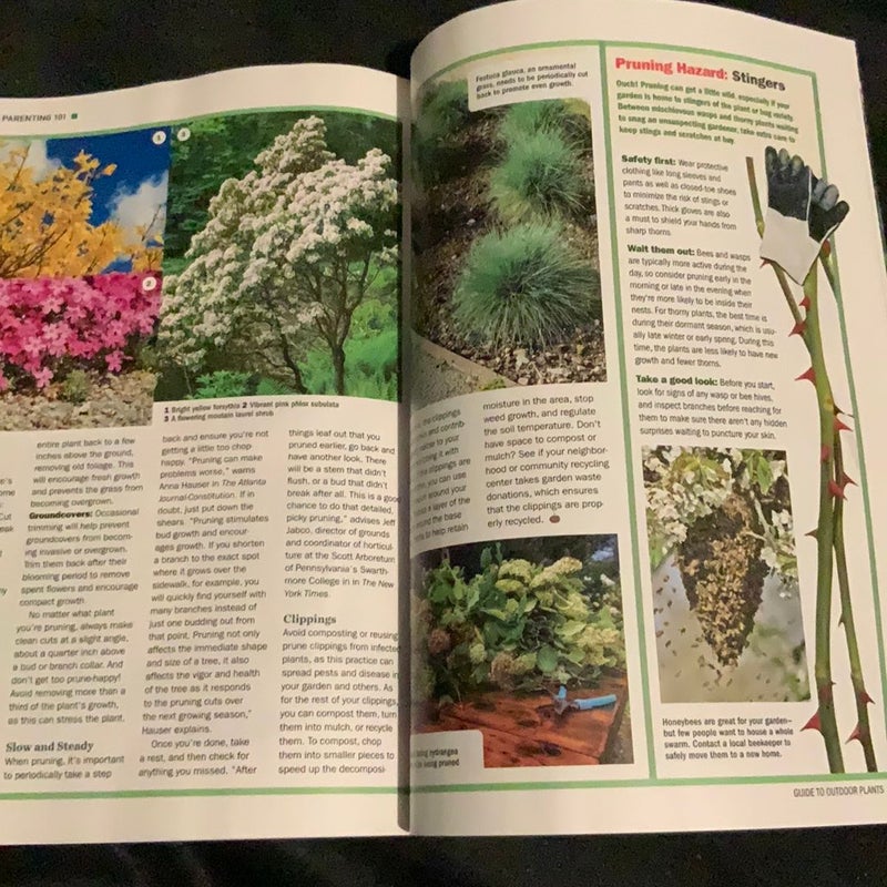 Your Comprehensive Guide to Outdoor Plants 🪴 