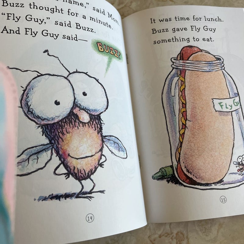 Fly Guy bundle of 2 books 