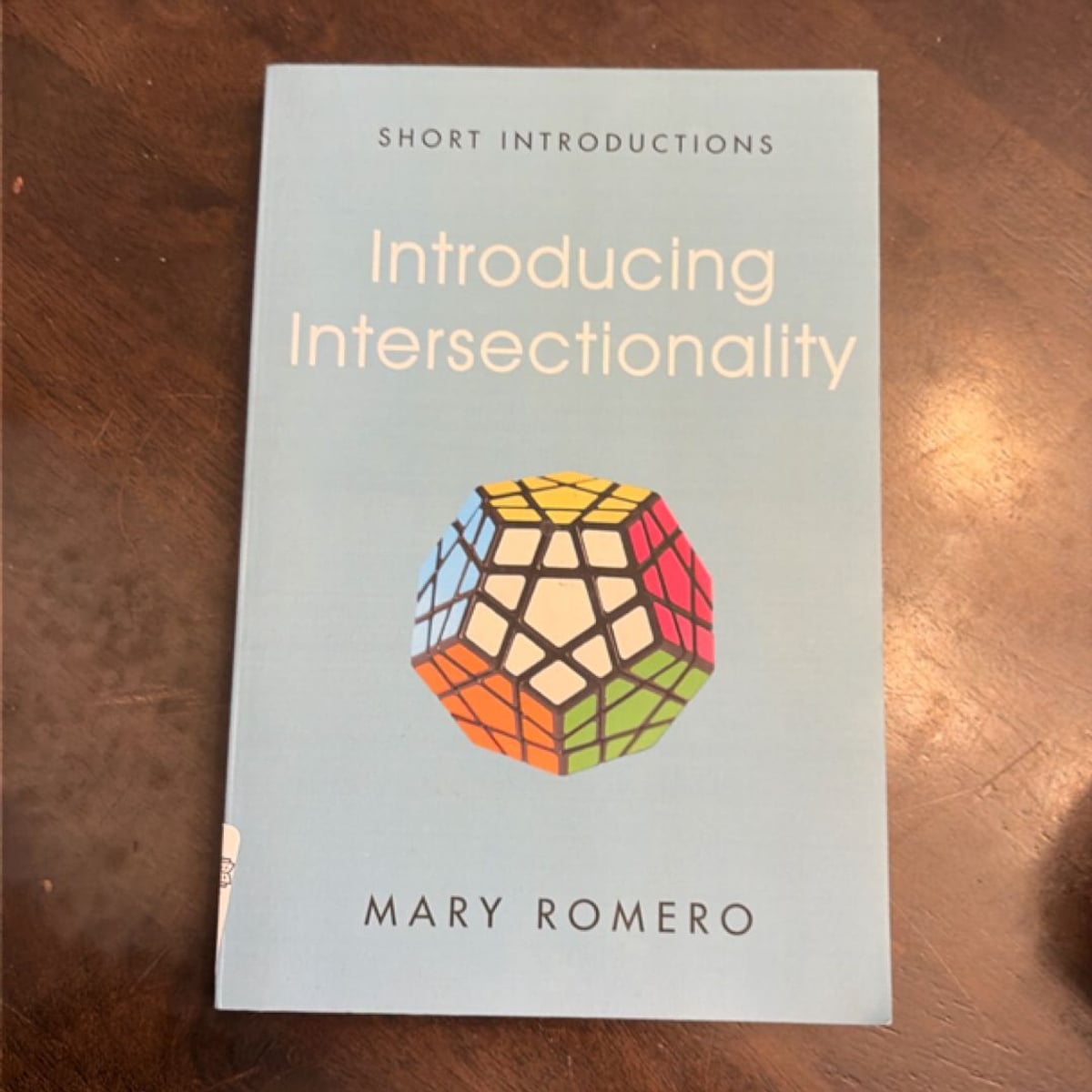 Introducing Intersectionality by Mary Romero