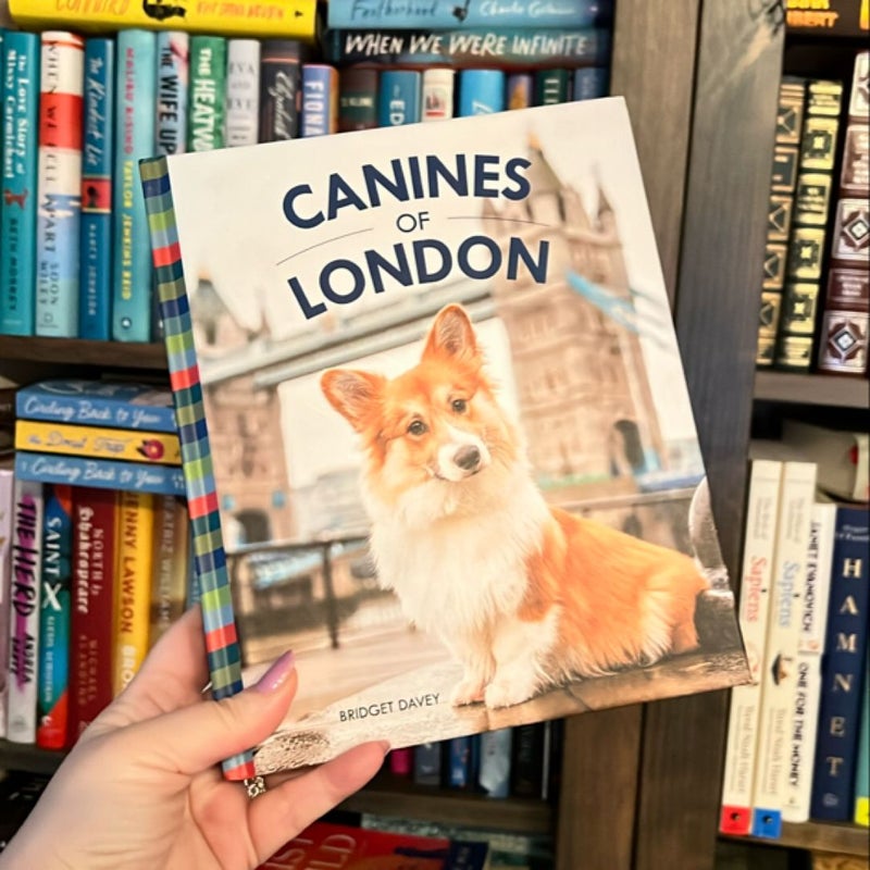 Canines of London (Dog Photography, Dog Lovers Gift)