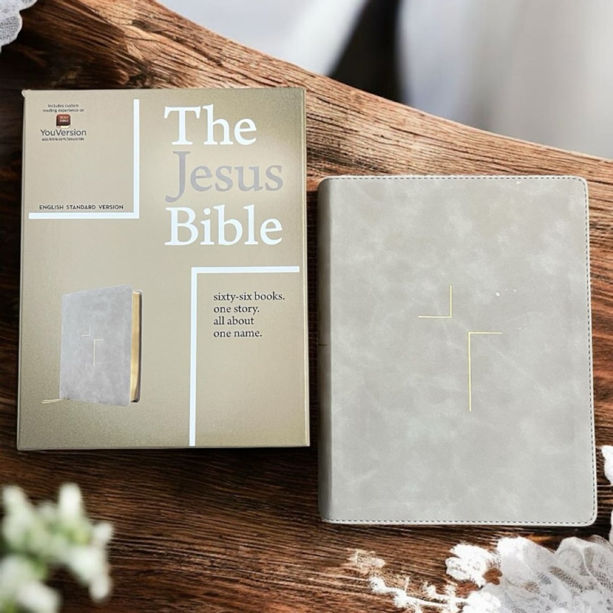 The Jesus Bible, ESV Edition, Leathersoft, Stone by Zondervan
