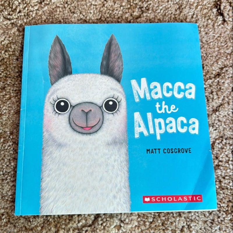 Macca the Alpaca