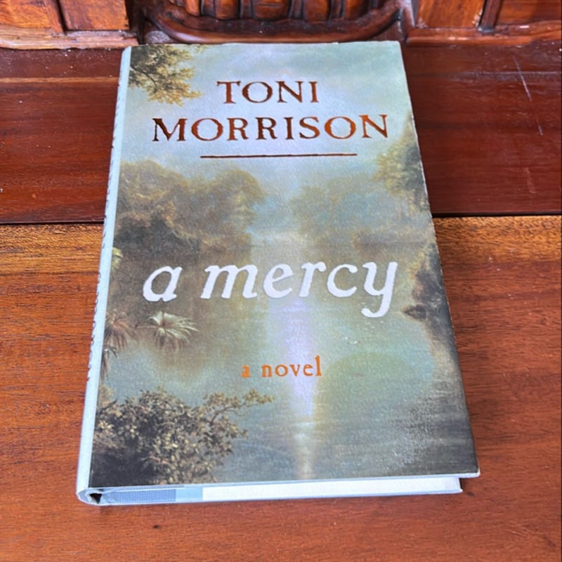 A Mercy (1st Ed)