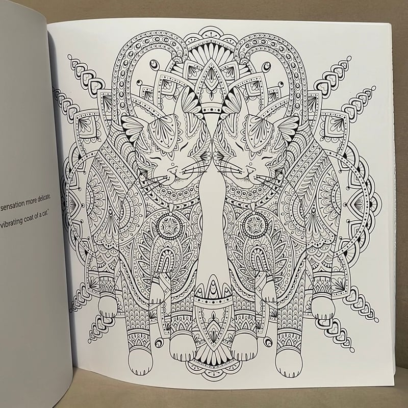 My Cat Mandala: 30 Stunning, Oversized Coloring Pages by Marica Zottino ...