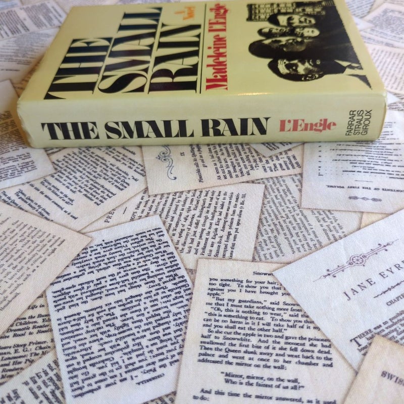 The Small Rain